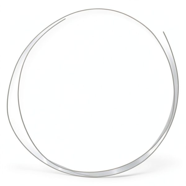 HOODANCOS Tungsten Wire Support Pin 0.04mm x 39in High Temp Ceramic-0